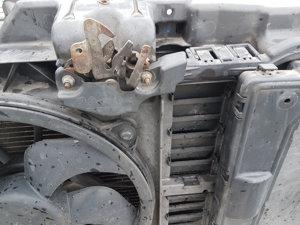 фото №9, Citroen c5 iii pas перед радіатор 2.0 vti