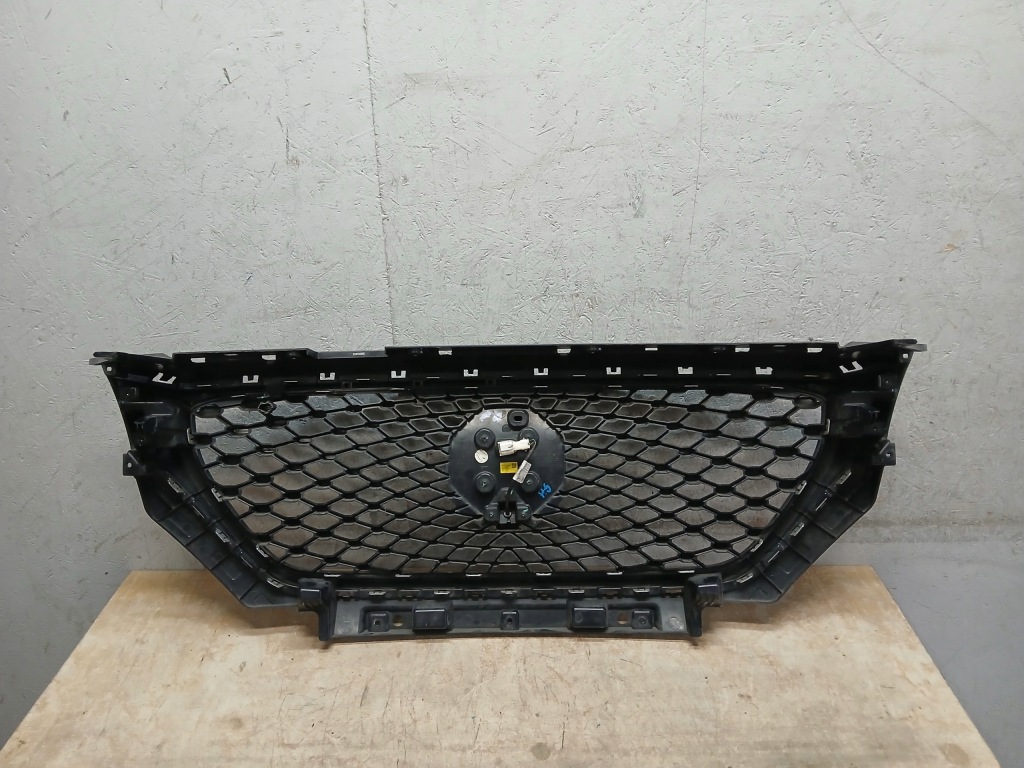 Решітка  решітка радіатора камера mg hs 10021164 Оригінал