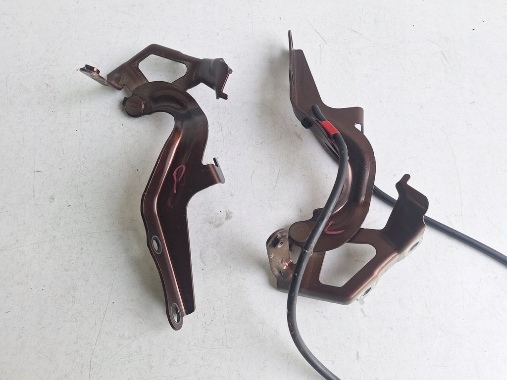 фото №1, Toyota sienna iv 2022- петля капот левый