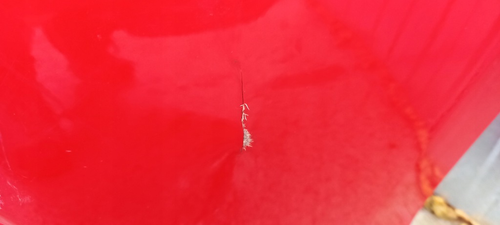 фото №7, Honda civic x r type бампер перед передний