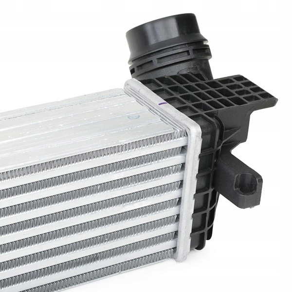 Ridex 468i0198 интеркулер к renault scénic 3 jz0/1 grand scénic 3 Оригинал