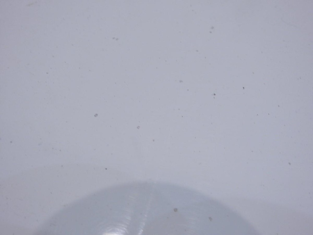 фото №6, Капот dv369 renault clio iii lift