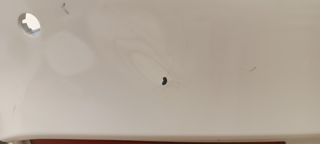 фото №7, Бампер задняя задний bmw m3 m4 f82 f83 8054284