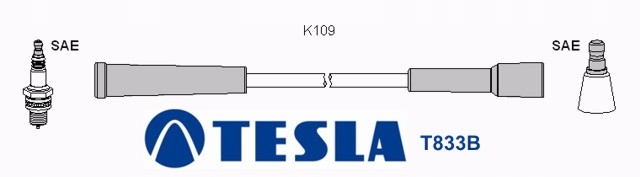 фото №1, T833b провода зажигания teslapolonez