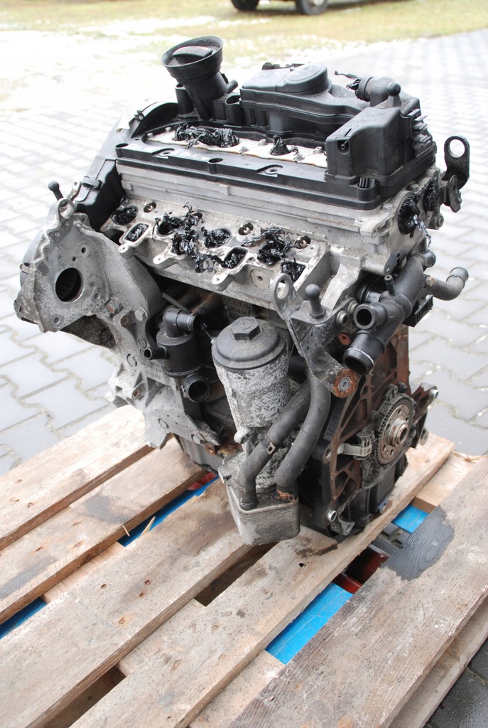 фото №12, Двигун seat leon, vw passat , skoda octavia 2.0 tdi , 2011r 170km ceg