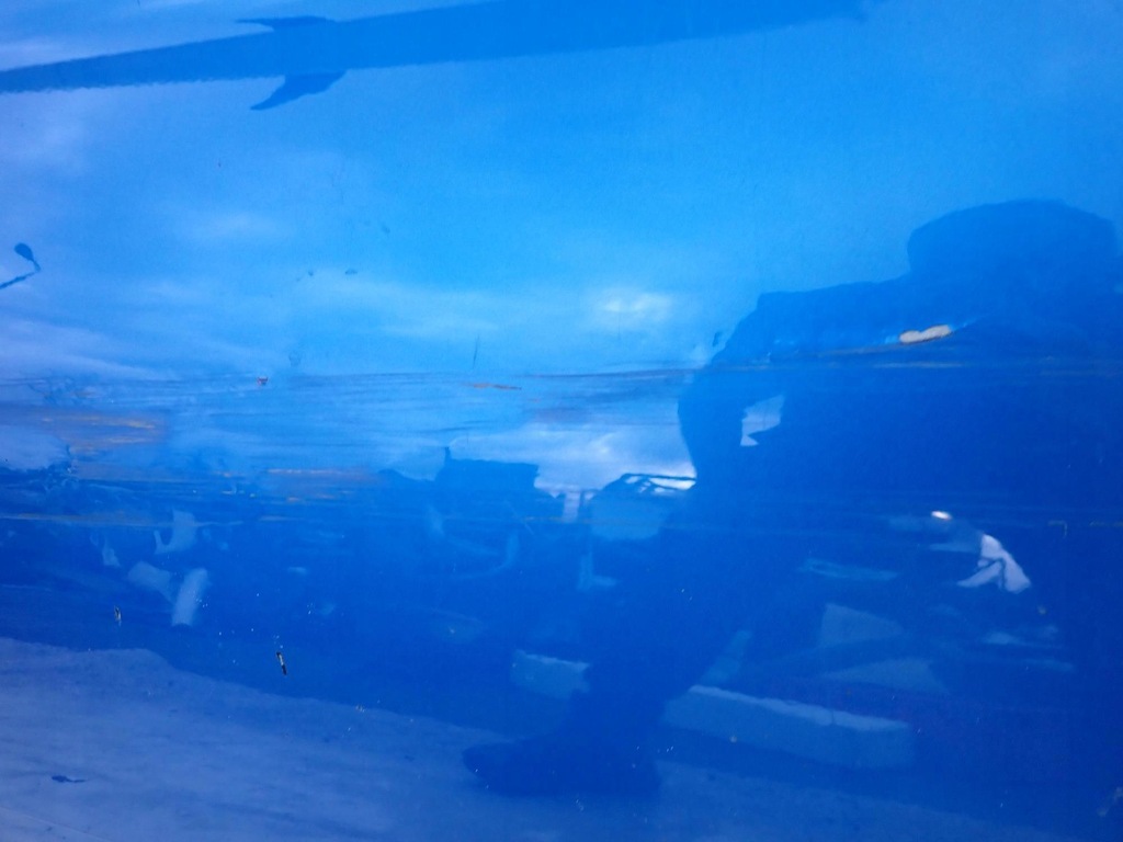 фото №9, Audi a5 ii 2 8w 3d coupe 16- двері перед праве