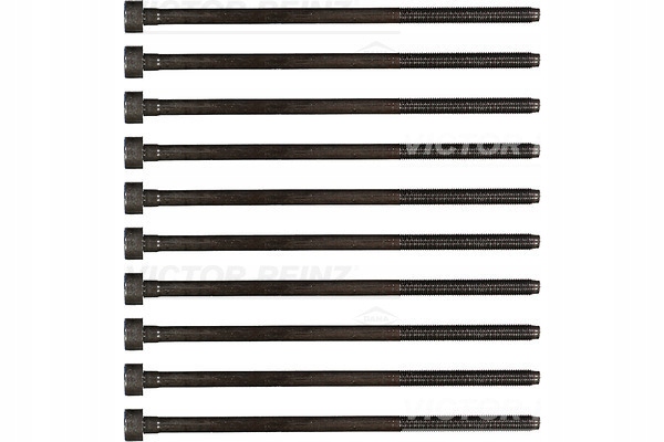 Reinz 14-32221-01 набір гвинт головки циліндрів Київ