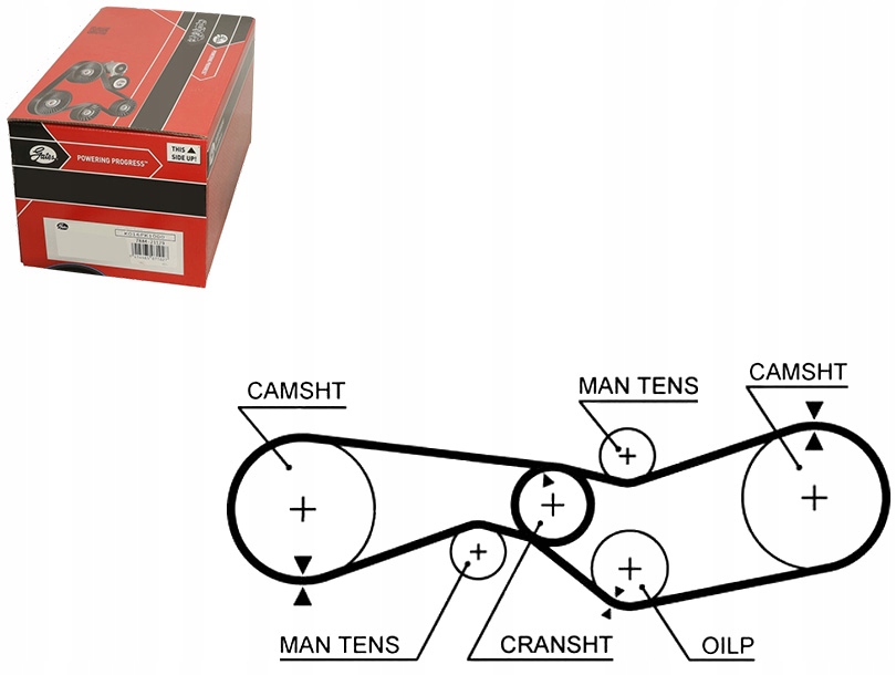 фото №9, Gates 5012 ремень распределительного вала