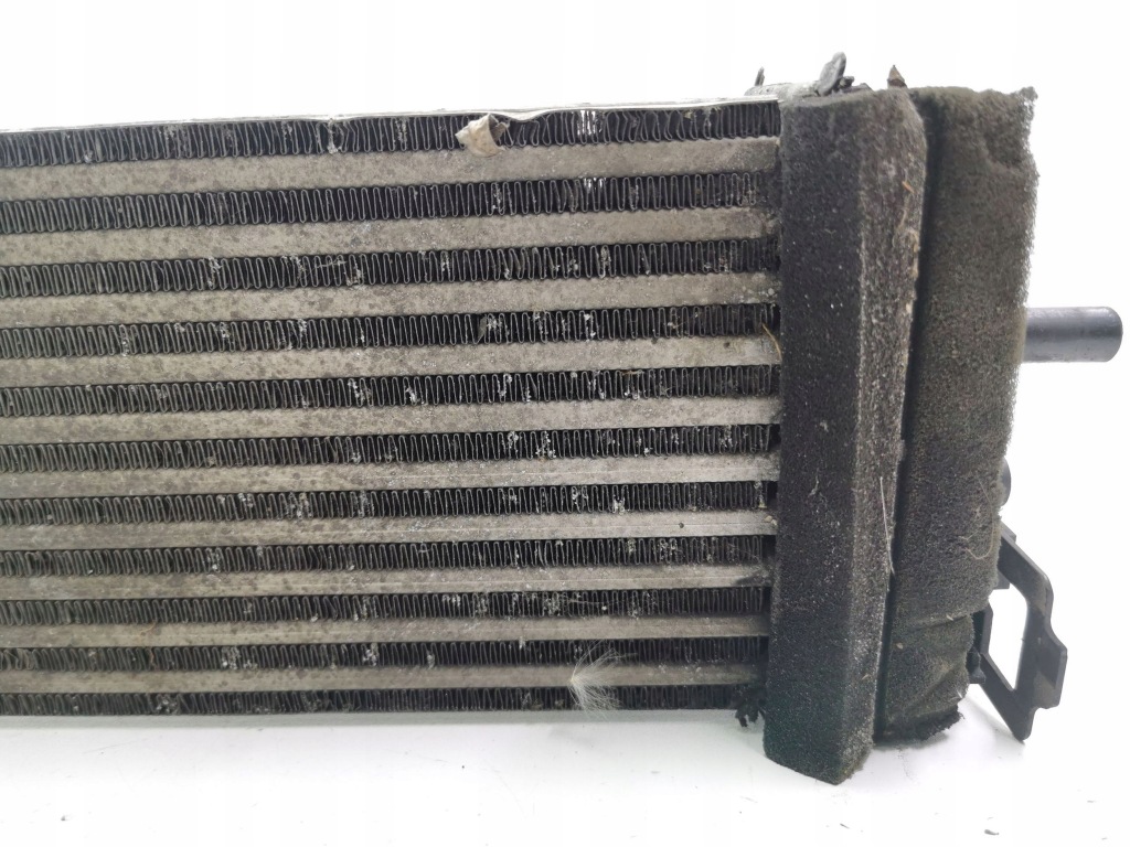 Ford focus 2012 радиатор воздуха наддувочный / интеркулер Киев