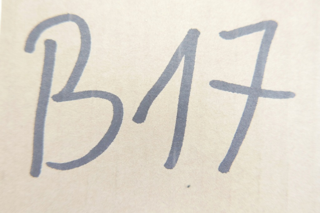 фото №9, Джгут двері задня задніх citroen c15 6537q5