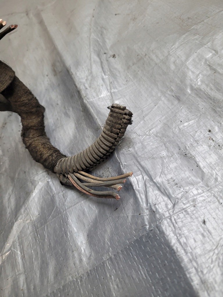 фото №15, Электропроводка газовая lpg stag 200-4 valtek ps-01 valtek