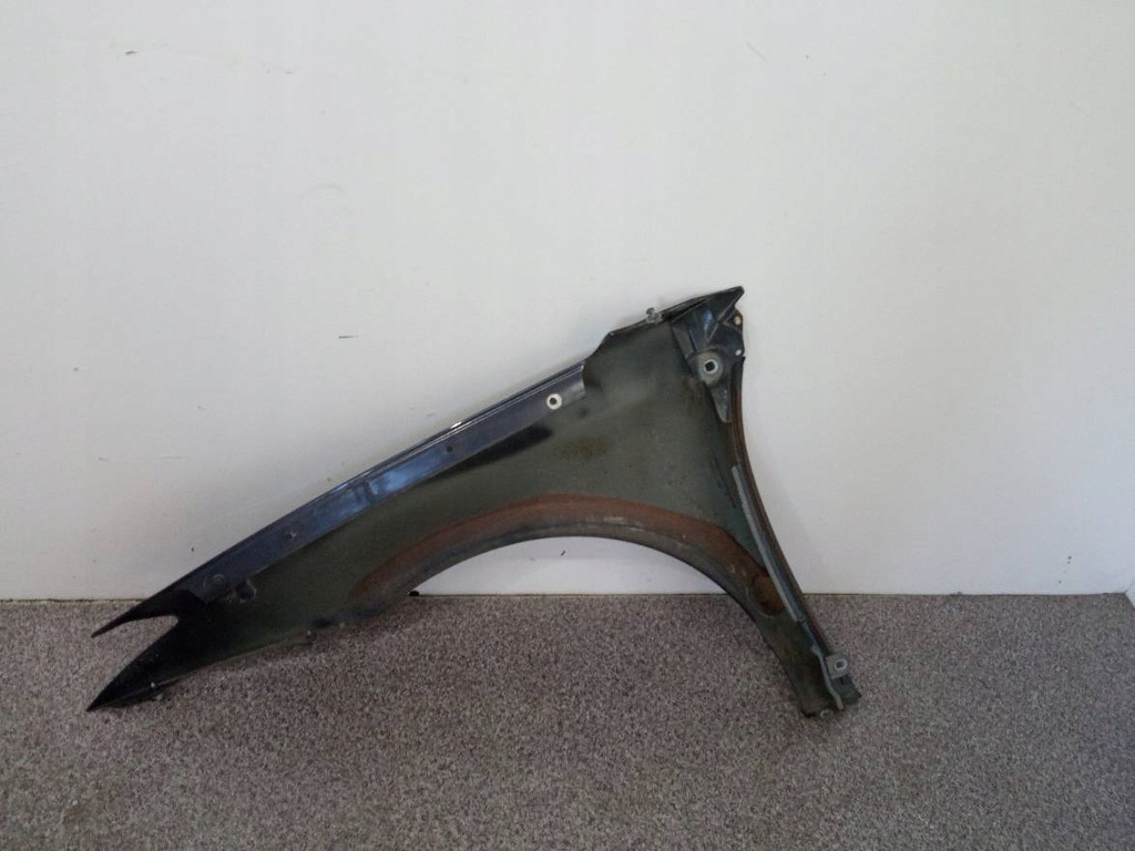 фото №11, Крила правий перед teb66 renault laguna iii 2007-