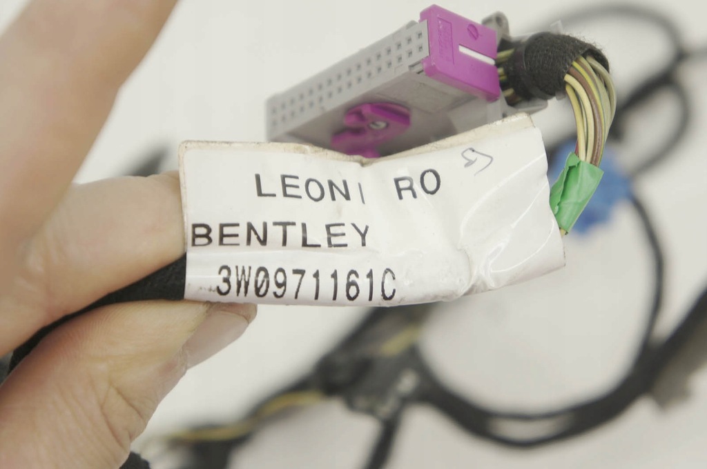 фото №7, Gs132 bentley continental gt i джгут двері лівий