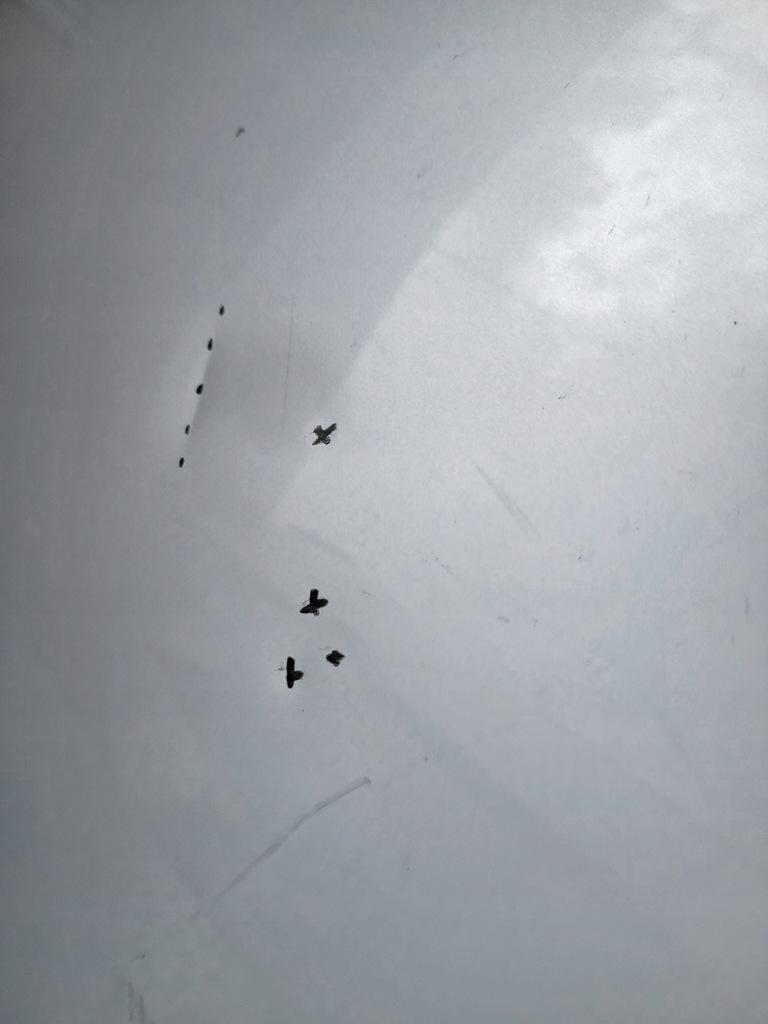 фото №7, Капот c4 cactus przed liftem 2014-17