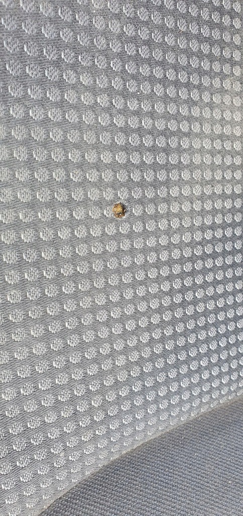 фото №5, Сиденье лавка anglik renault trafic ii lift