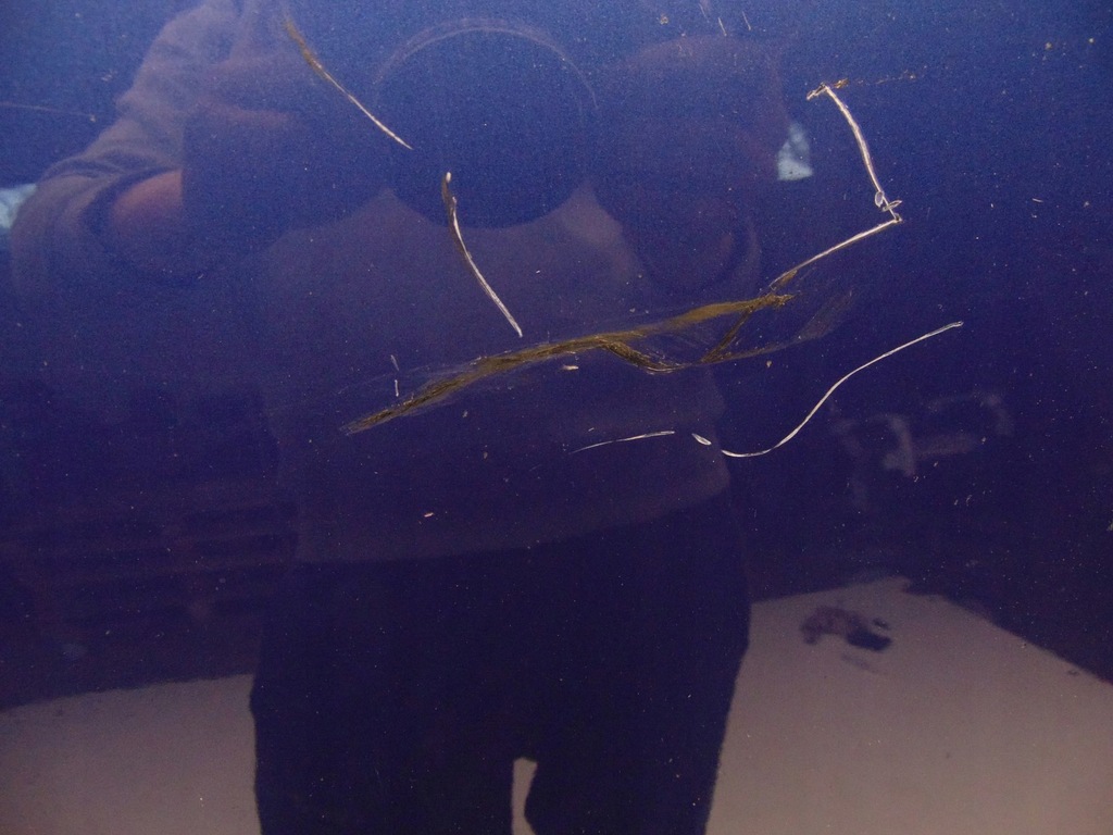 фото №5, Капот крышка двигателя audi a4 b6 8h cabrio lz5g