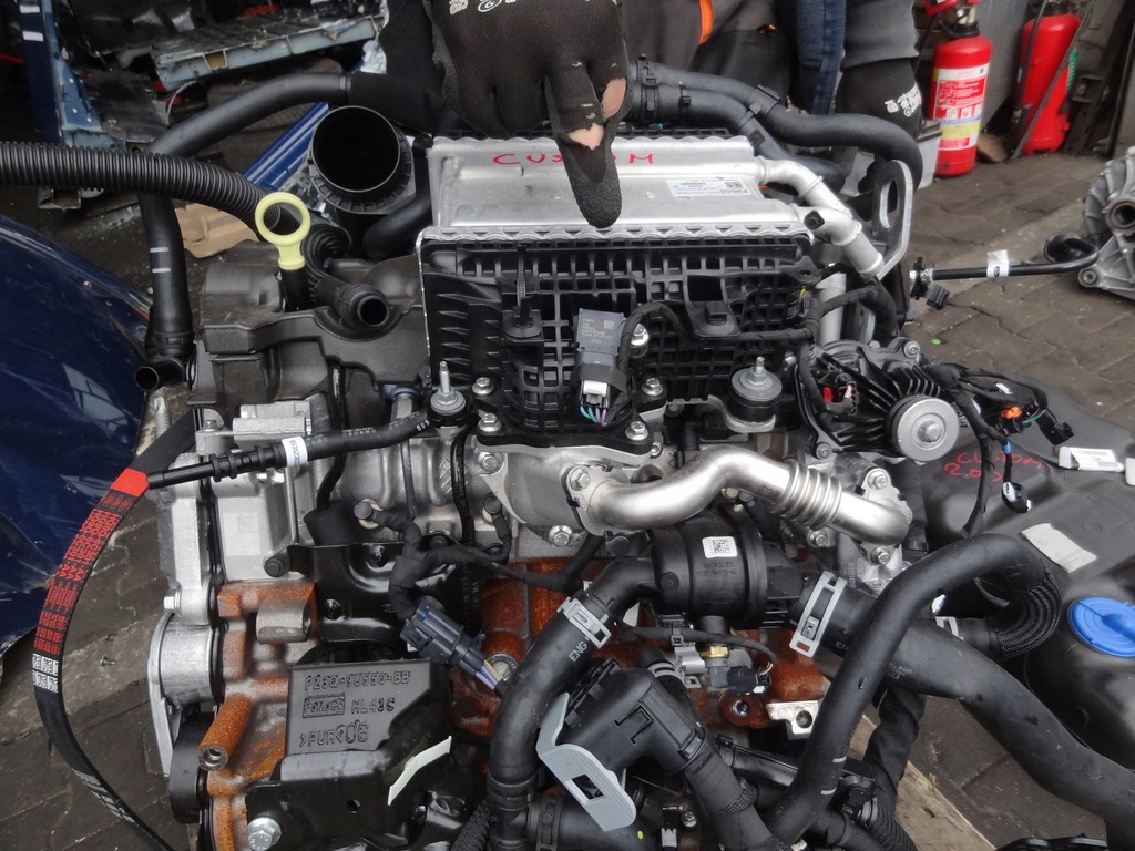 фото №10, Ford transit custom ii 2024 2,0 ecoblue двигун bkfb пробіг 0km оригінал