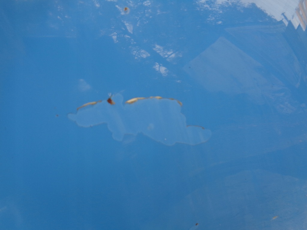 фото №8, Капот крышка двигателя renault clio 4 iv ovrpj 12-19