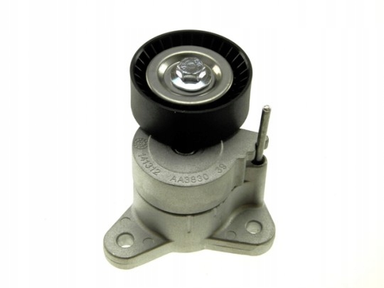 Купить Натяжитель ремень многоручейковый dodge caliber 07-