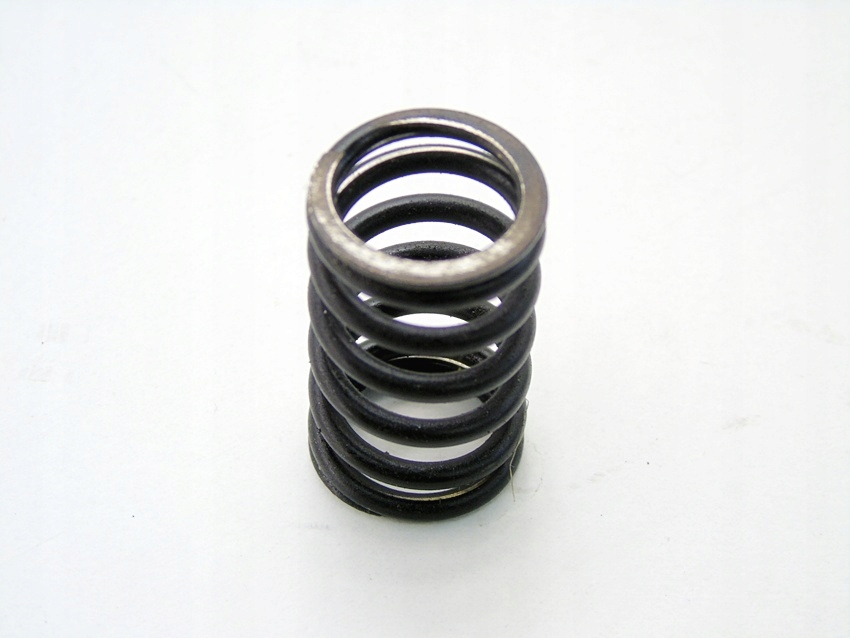 Пружина клапана 1.2 16v stilo brava bravo idea palio punto siena ypsilon Зі Шроту