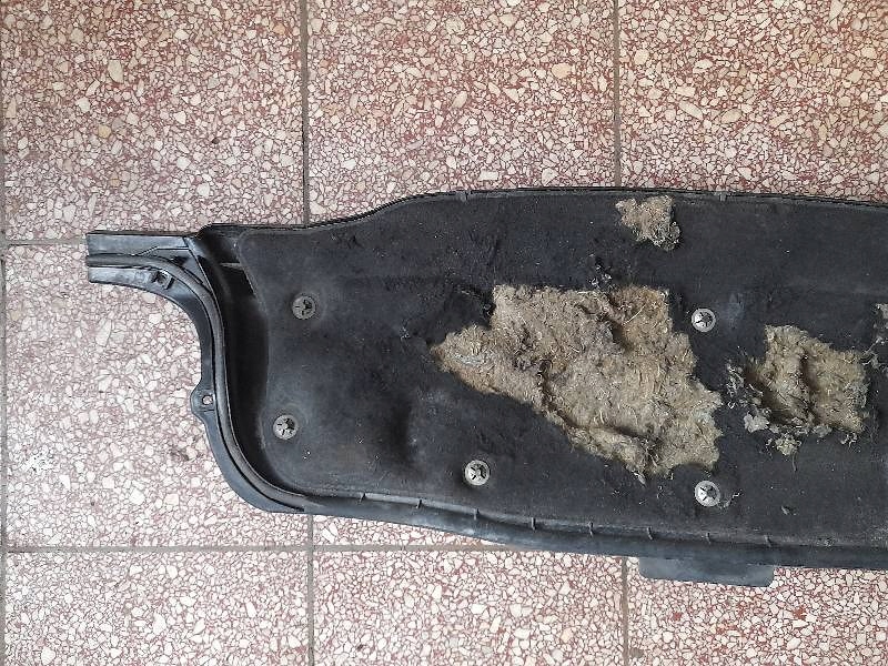 фото №5, Жабо защита opel zafira