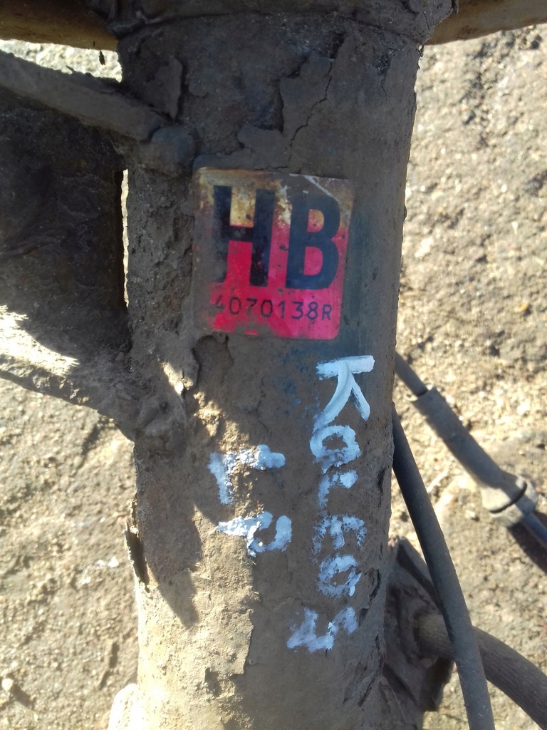 фото №3, Амортизаторна стійка поворотний кулак правий renault koleos 2.0dci