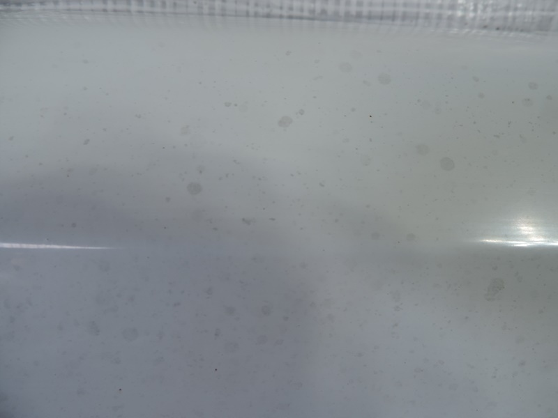 фото №9, Opel combo e кришка багажника задня багажника