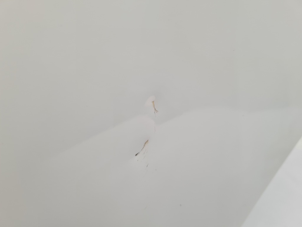 Nissan qashqai j10 дверь левая задний 326g с Разборки