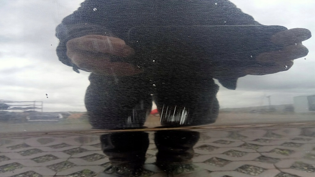 фото №8, Дверь левый задняя audi a4 b7 sedan lz9y s-line