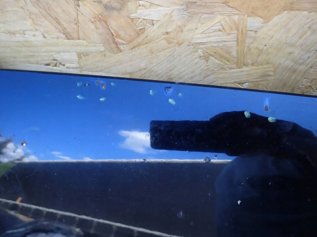 фото №7, Капот audi a3 8p ly9b большой решётка радиатора 8p0010187j