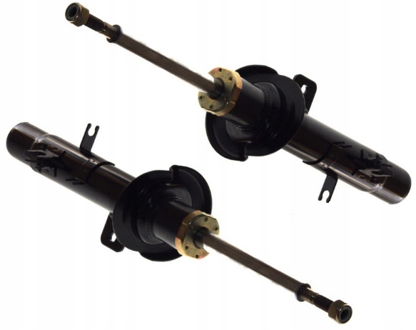 фото №1, C2 c3 peugeot 1007 амортизаторы газовые перед kompl