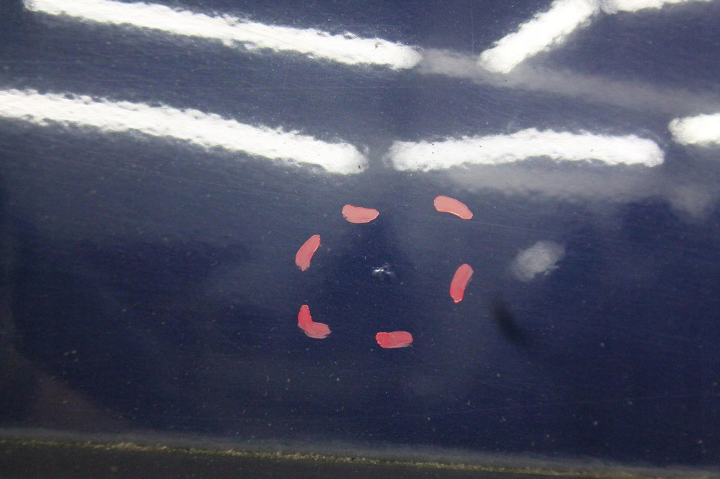 фото №6, Двері лівий перед передні seat exeo sedan kol. lw5u 08-13