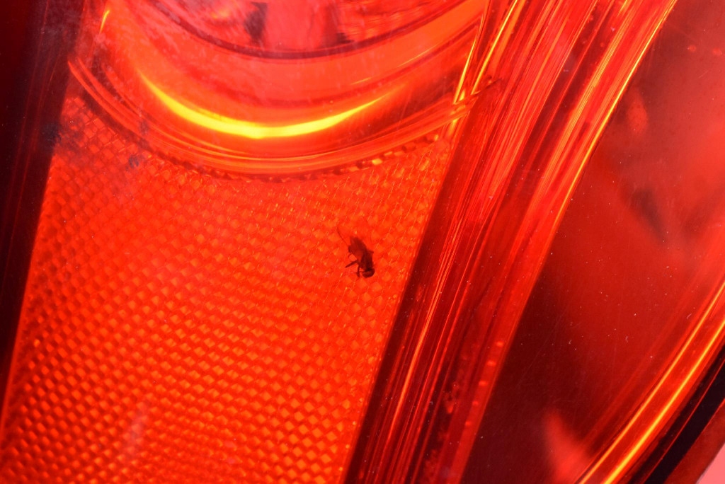 фото №10, Лампа левая задняя задняя 27099002 vw passat cc 08-12