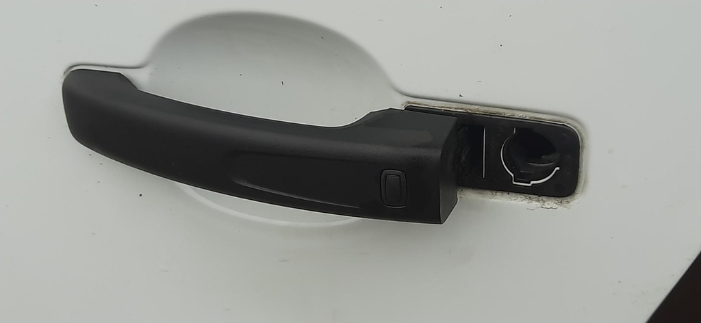 фото №6, Двері лівий перед передні renault trafic iii