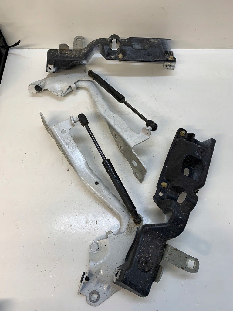 фото №1, Петлі капот renault scenic iii комплект