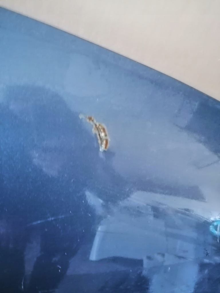 фото №6, Капот крышка двигателя ford ecosport cn1516k689aa