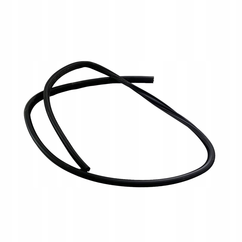 фото №1, Dodge charger 2019 правая сторона уплотнители