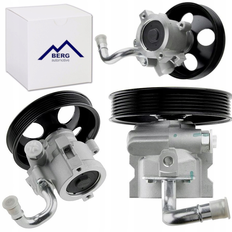 фото №1, Насос підсилювача polcar s5025004