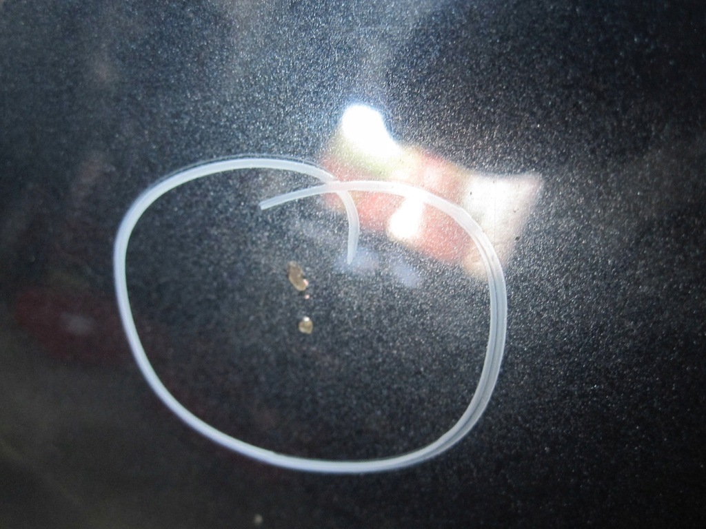 фото №10, Nissan juke 11r капот