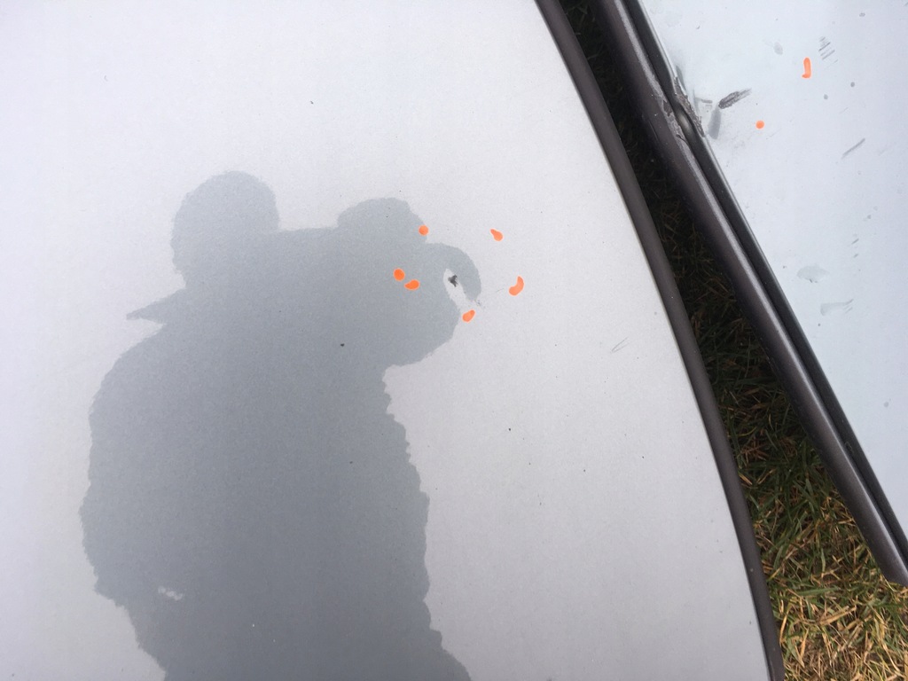 фото №9, Двері bmw e65 schiefergruen