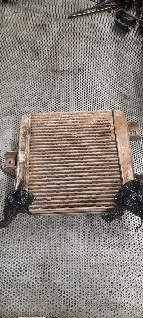 фото №1, Iveco daily vi po 14 roku2.3hpi радиатор масла