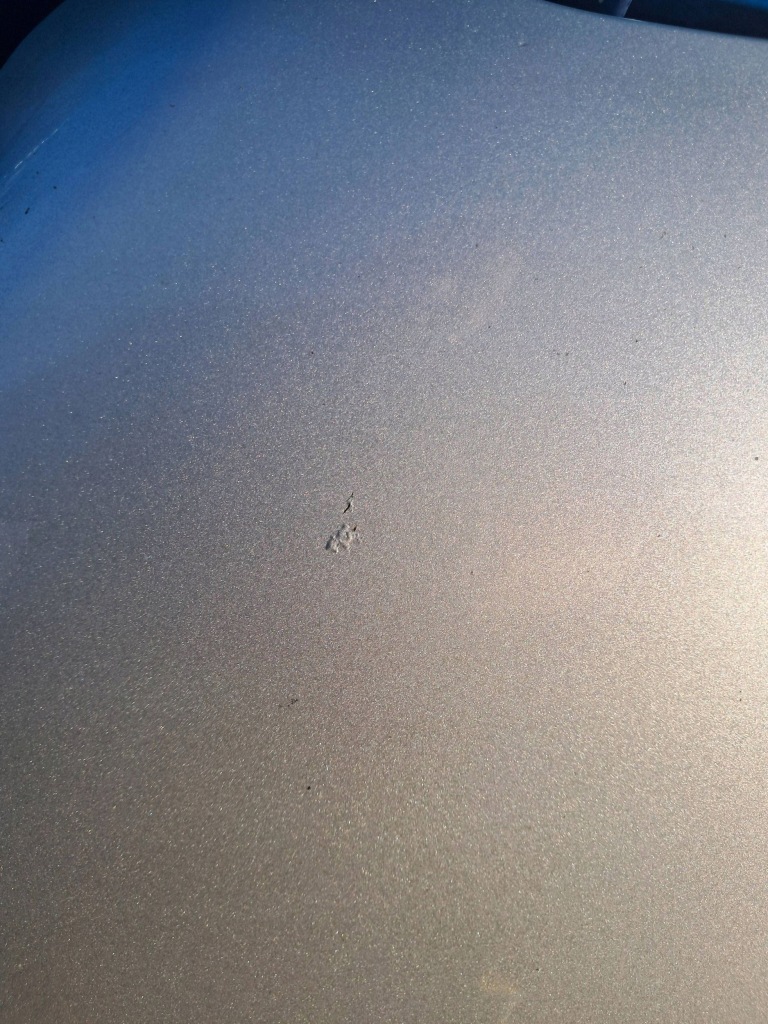 Peugeot 508 комплектная капот серебристая ezrc в Украине