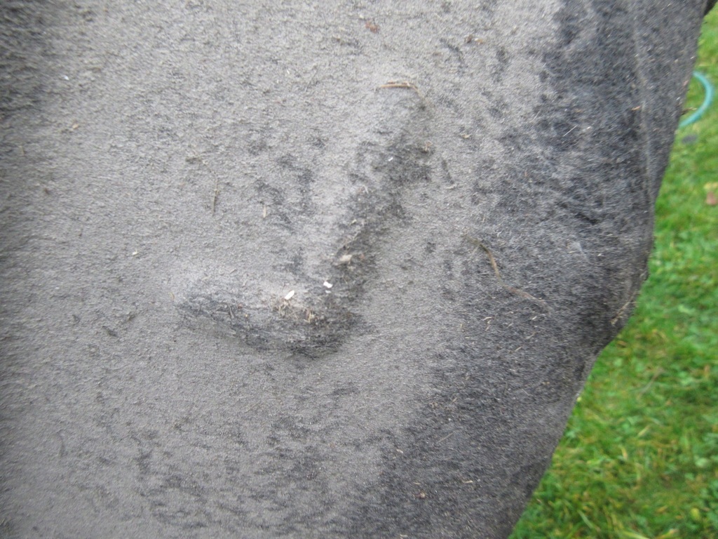 фото №4, Seat leon iii hb подкрылок задние левая 5f0810971