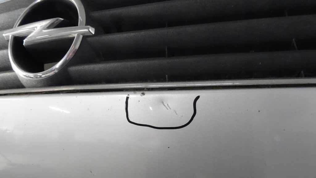 фото №10, Zafira a капот z159