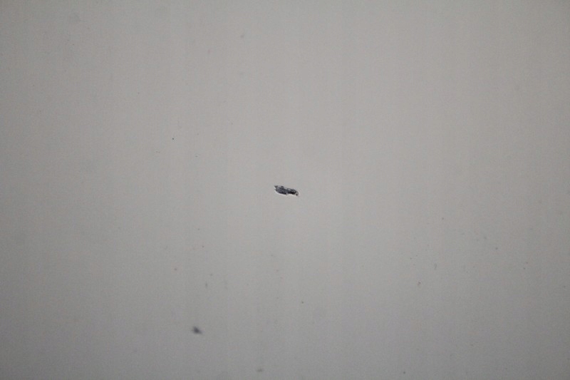 фото №6, Дверь правое перед передние 850/0 mini cooper one r56 06-10