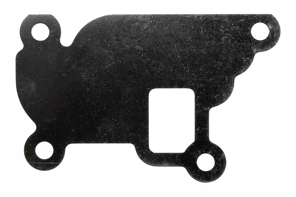 фото №2, Заглушка клапана egr