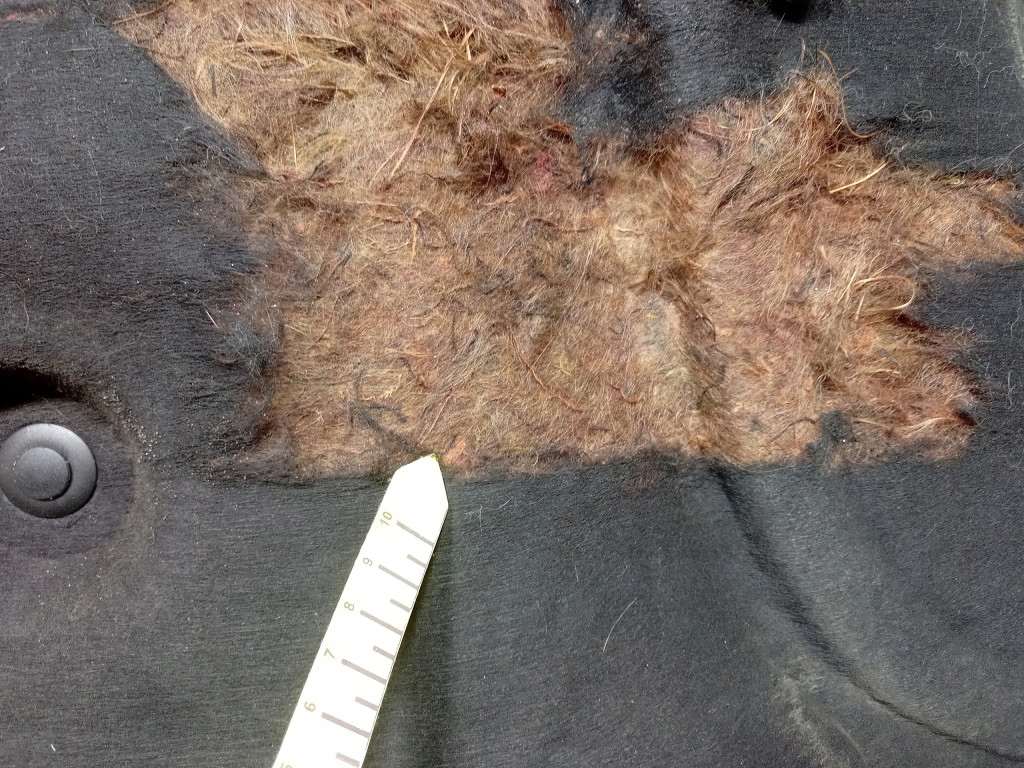 фото №15, Peugeot 607 капот крышка двигателя exl