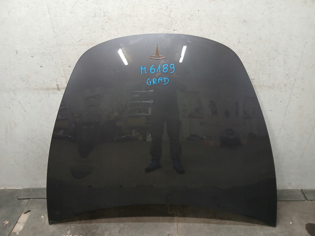 Купить Капот tesla iii 3 grad