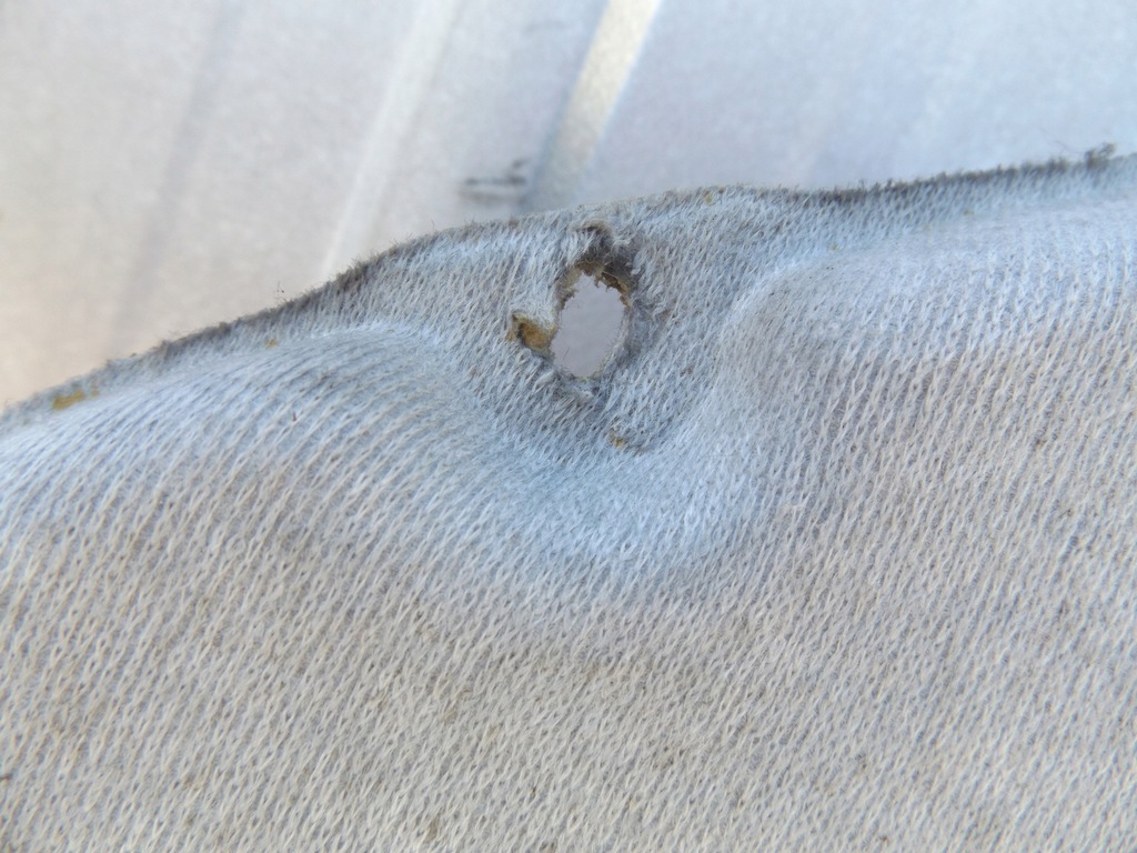 фото №4, Doblo i стеля задня