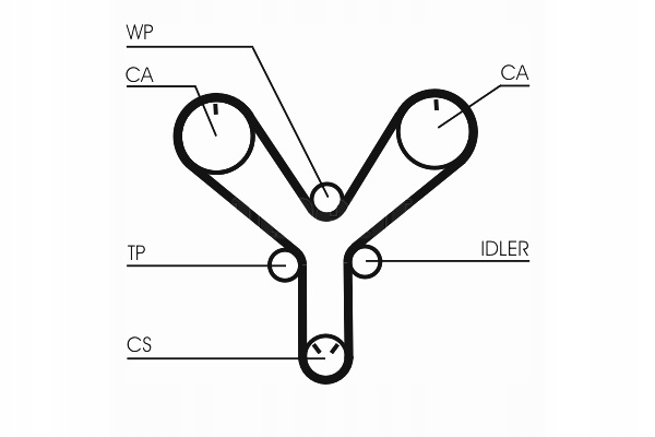 фото №1, Continental ct1147 ремень распределительного вала